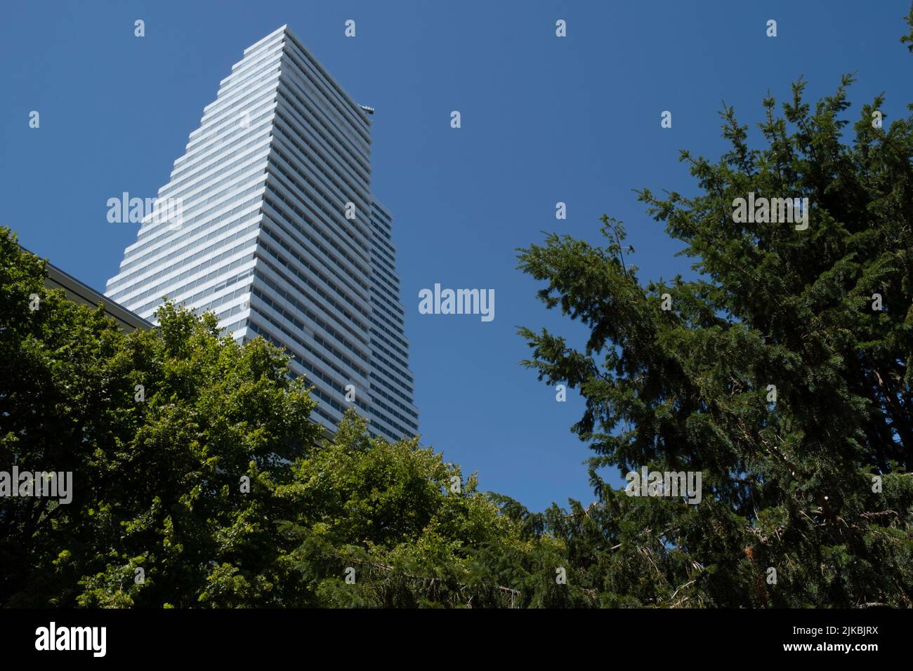 Roche torre e ufficio al confine del fiume Reno. Hoffmann-la Roche AG è una multinazionale svizzera del settore sanitario con sede a Basilea Foto Stock