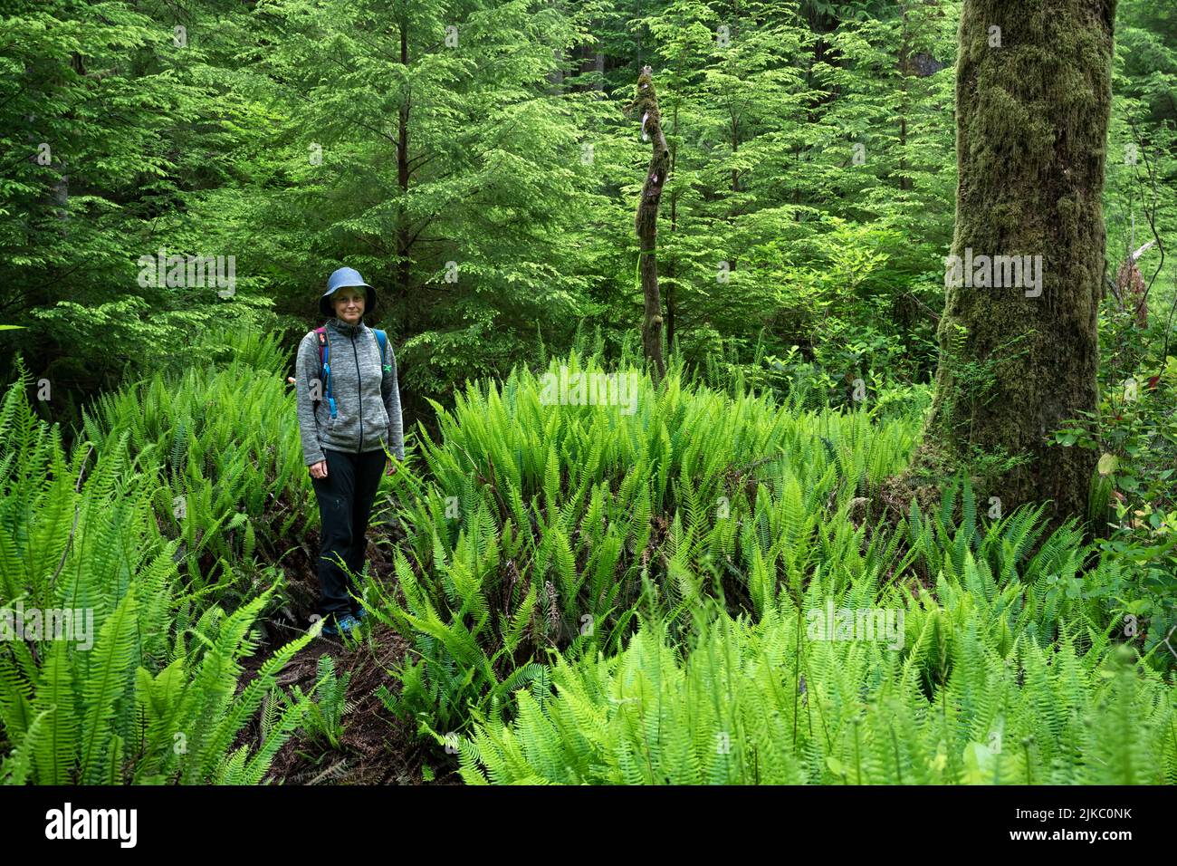 Una donna escursionista caucasica che posa in una lussureggiante vegetazione al Carmanah Walbran Provincial Park Foto Stock