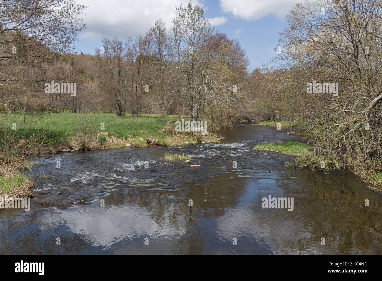 Un fiume fluente in una foresta a le Chambon-sur-Lignon, Francia Foto Stock