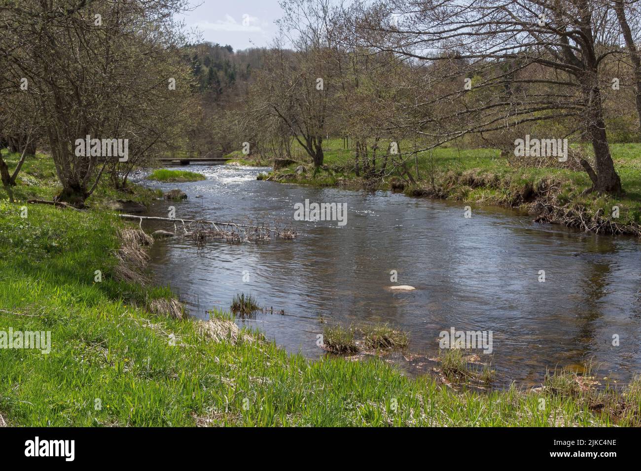 Un fiume fluente in una foresta a le Chambon-sur-Lignon, Francia Foto Stock