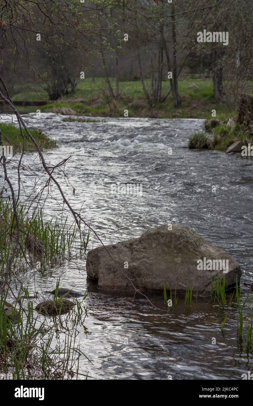 Un fiume fluente in una foresta a le Chambon-sur-Lignon, Francia Foto Stock