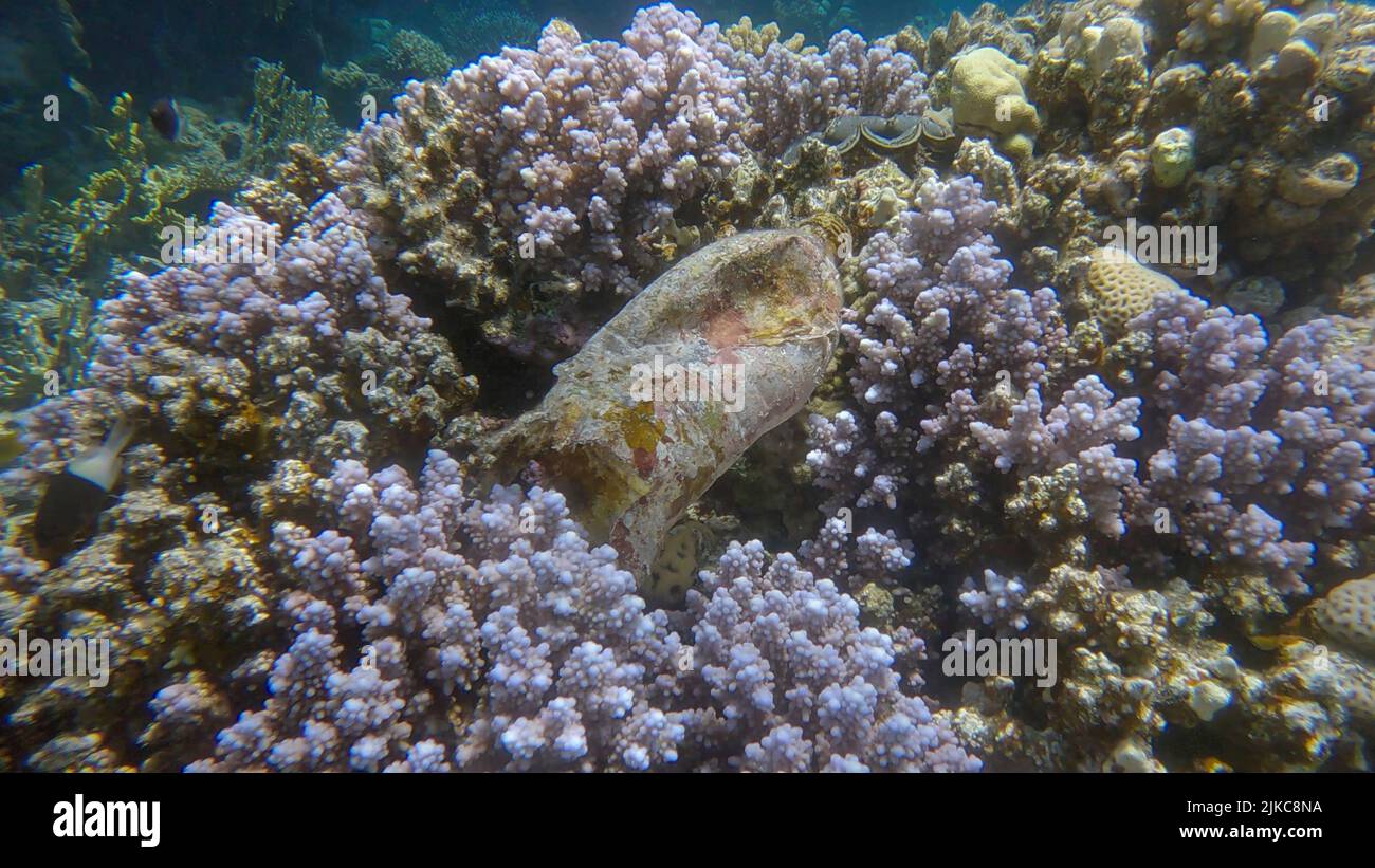 Vecchia bottiglia di plastica si trova sulla bella barriera corallina. Inquinamento plastico dell'Oceano. Mar Rosso, Egitto Foto Stock
