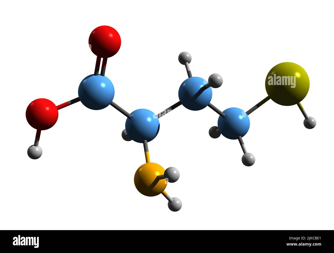 3D immagine della formula scheletrica omocisteina - struttura chimica molecolare dell'acido 2-ammino-4-sulfanilbutanoico isolato su sfondo bianco Foto Stock