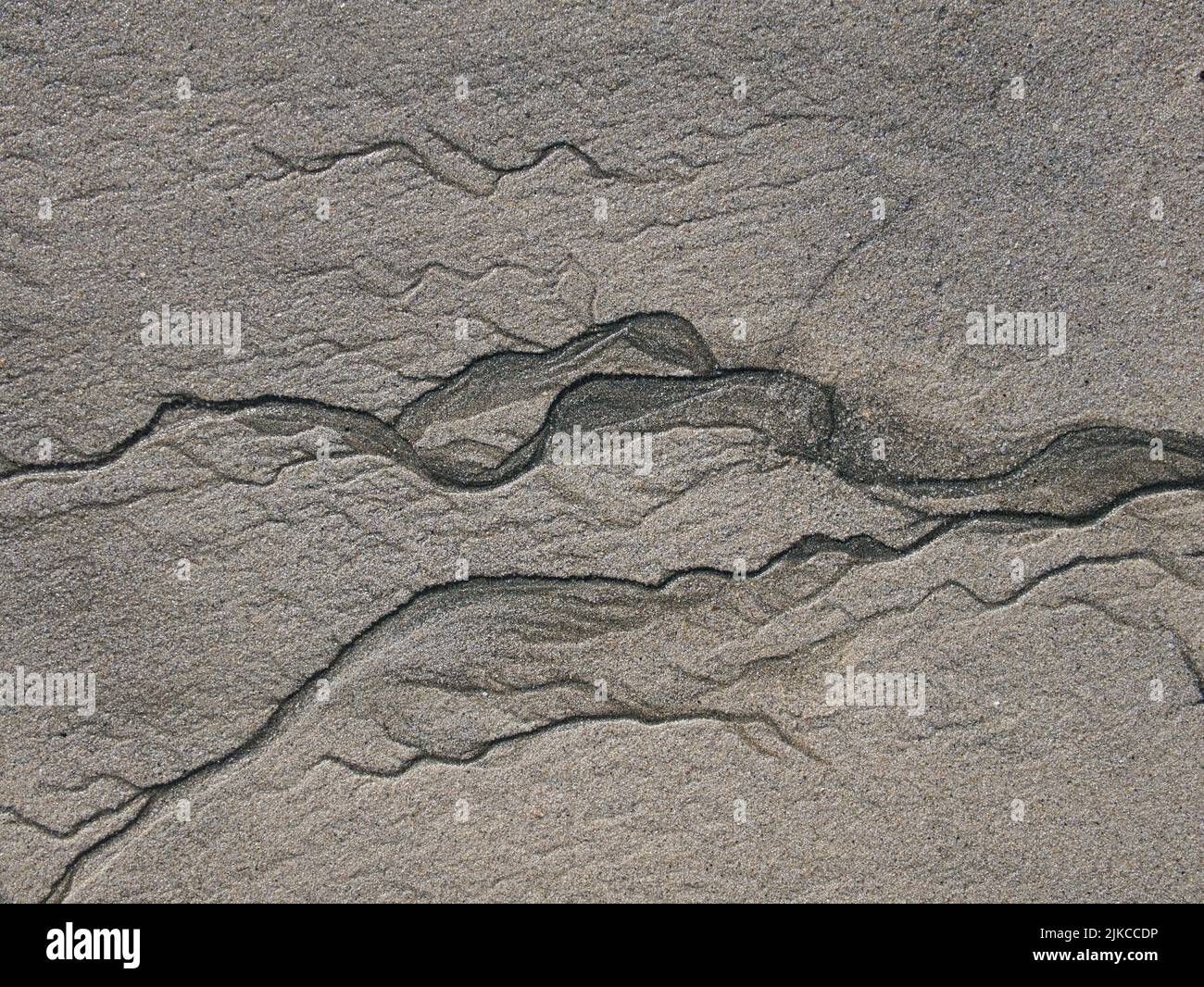 Rivuleti di acqua su una spiaggia di sabbia fine a bassa marea. Foto Stock