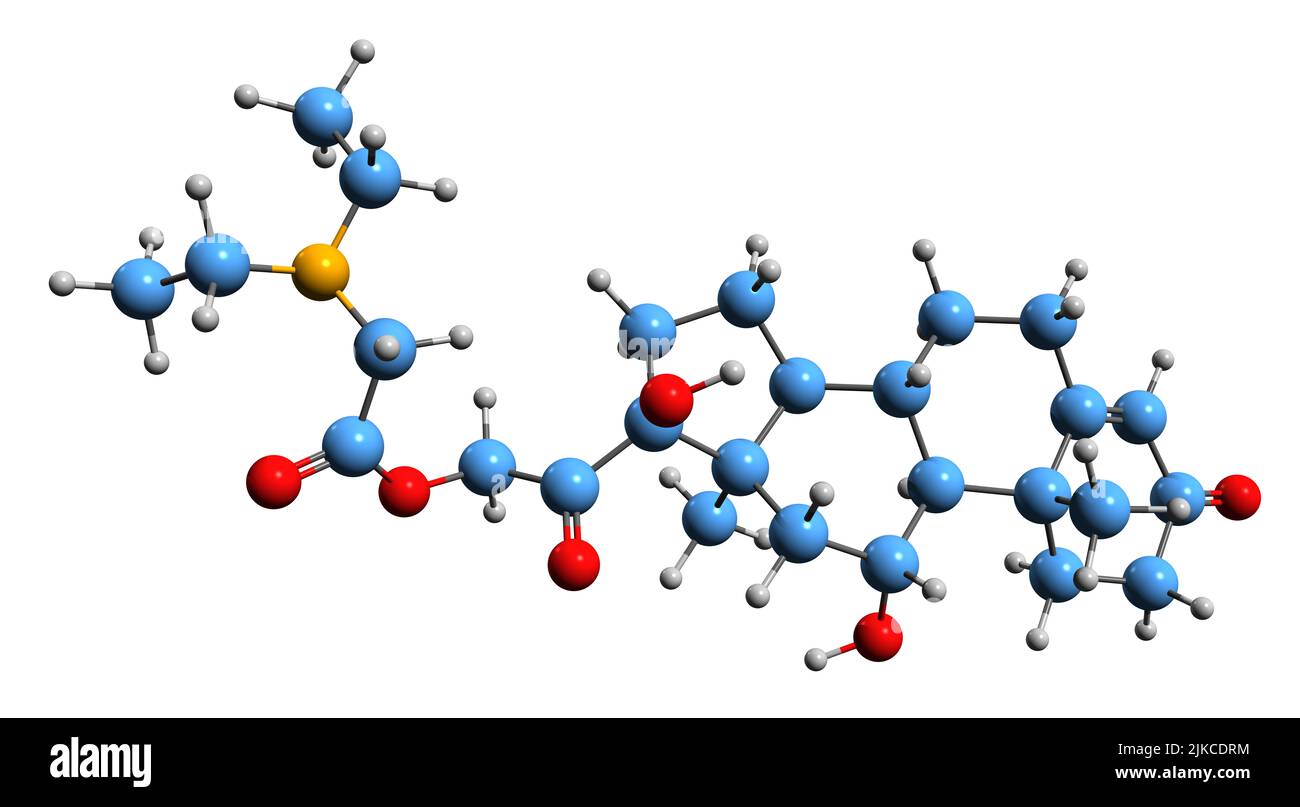 3D immagine della formula scheletrica dell'idrocortomato - struttura chimica molecolare del glucocorticoide sintetico isolato su sfondo bianco Foto Stock