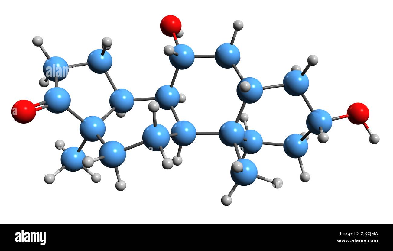 3D immagine della formula scheletrica di Hydroxyepiandrosterone - struttura chimica molecolare di neurosteroide endogeno isolato su sfondo bianco Foto Stock