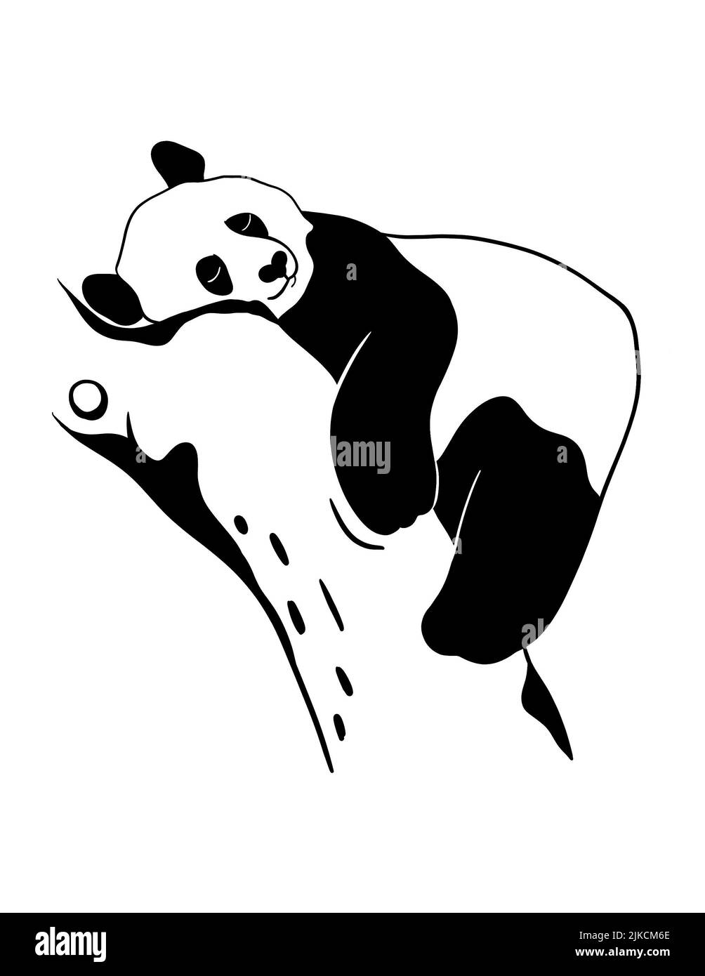 Panda nero in stile cartoon su sfondo bianco. Foto Stock