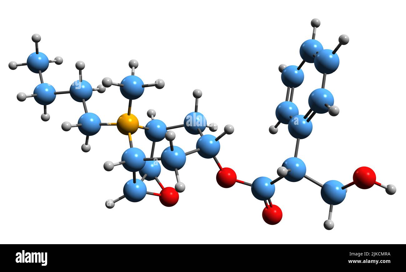 3D immagine della formula scheletrica Hyoscine butilbromuro - struttura chimica molecolare della scopolamina butilbromuro isolata su sfondo bianco Foto Stock