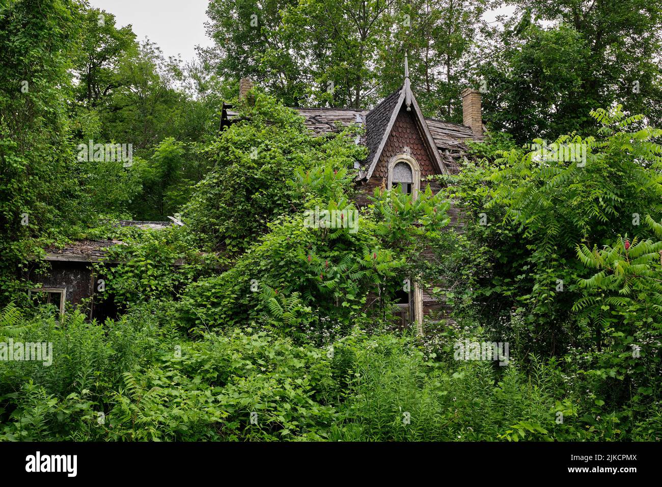 Una vecchia casa dilapitata abbandonata spaventosa è quasi completamente coperta da alberi e pennelli. Foto Stock