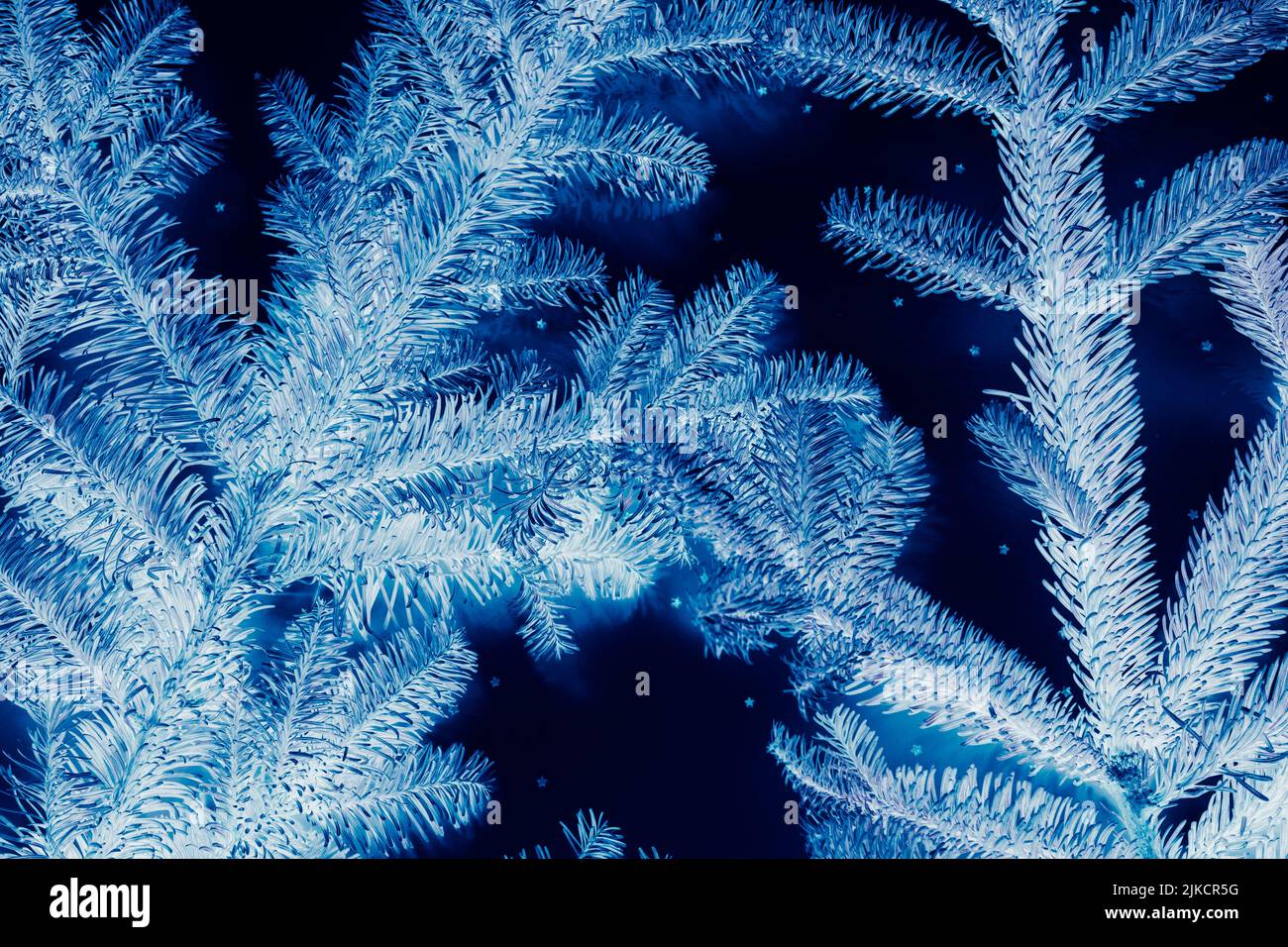 vacanze invernali blu abete albero effetto negativo Foto Stock