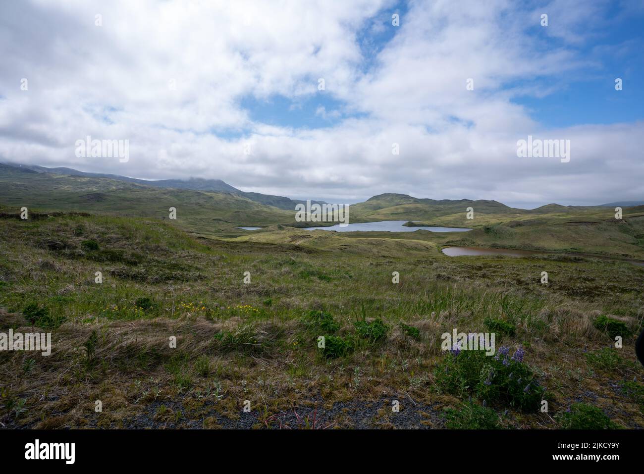 Heart Lake situato nella Happy Valley sull'isola di Adak Foto Stock