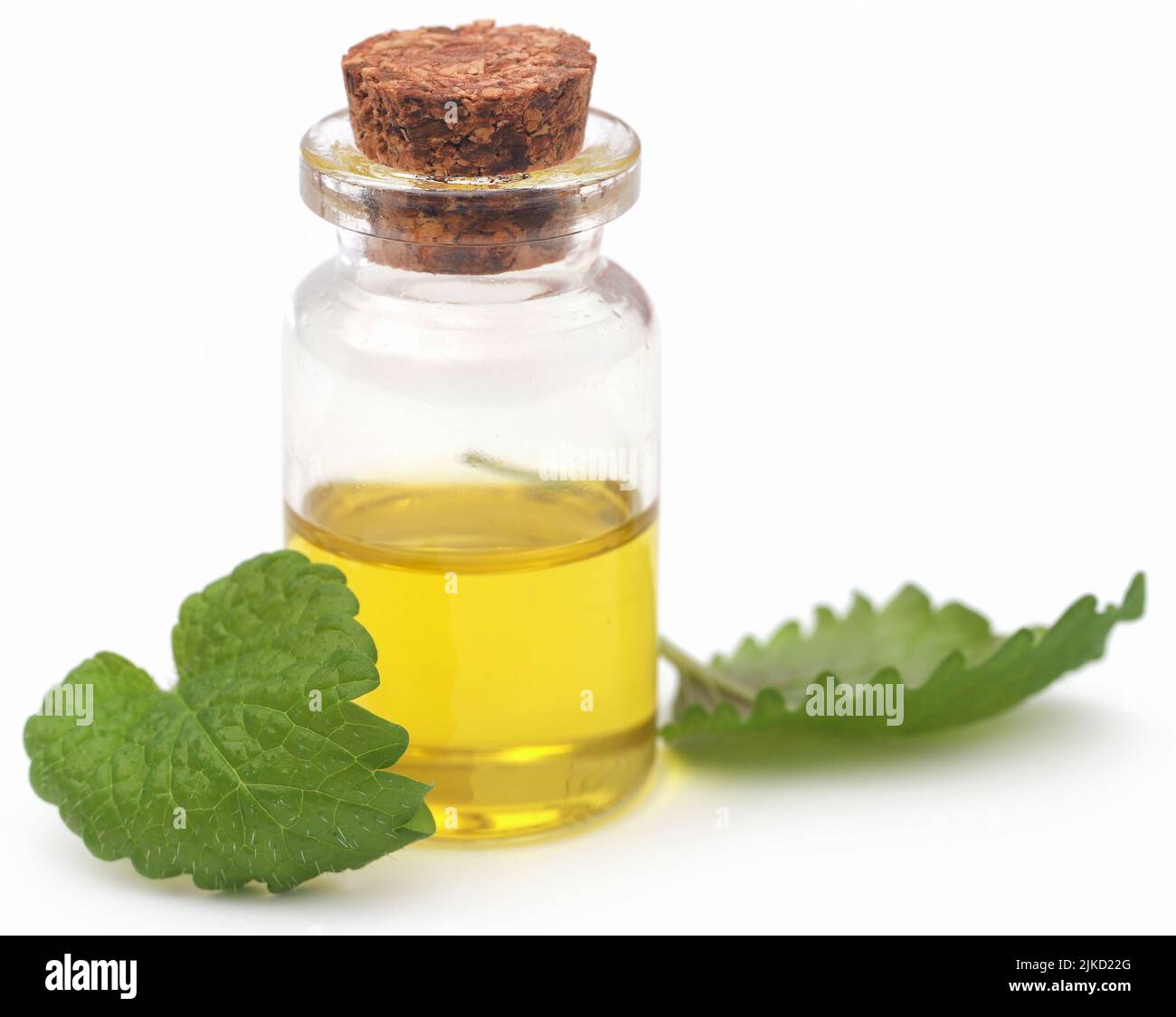 Foglie di balsamo al limone con olio essenziale estratto in bottiglia Foto Stock