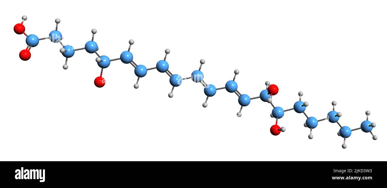 3D immagine di Lipoxin B4 formula scheletrica - struttura chimica molecolare di eicosanoide non classico isolato su sfondo bianco Foto Stock