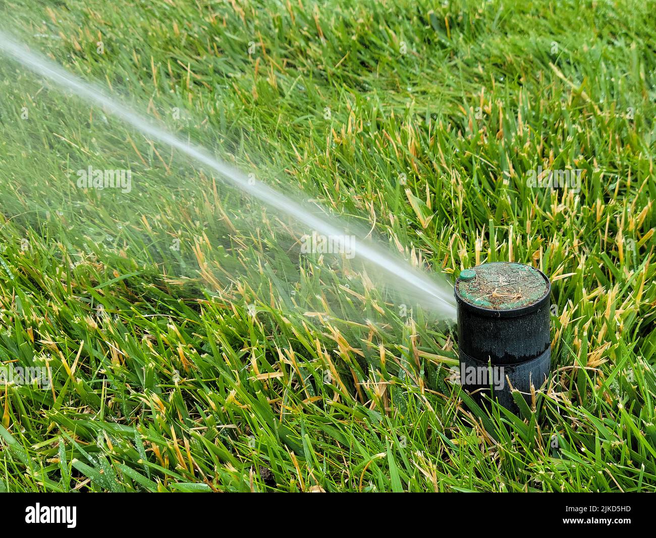 Primo piano della testa sprinkler sotterranea in erba verde con spruzzi d'acqua Foto Stock