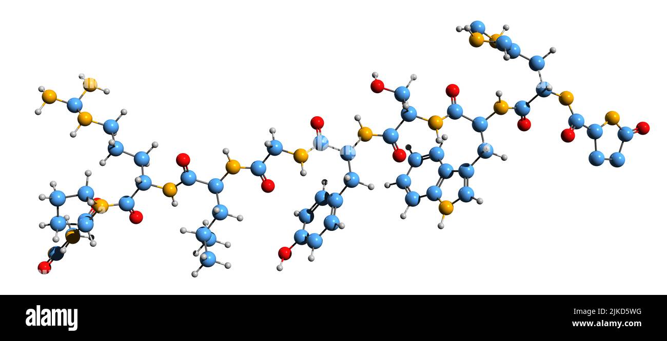 3D immagine della formula scheletrica di Luliberina - struttura chimica molecolare dell'ormone decapeptidico isolato su sfondo bianco Foto Stock