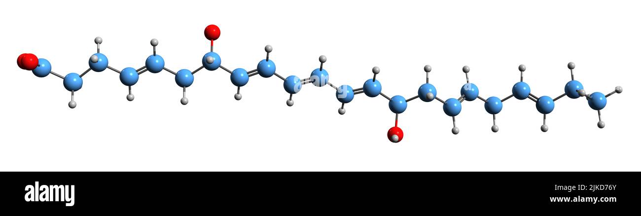 3D immagine della formula scheletrica Maresin 1 - struttura chimica molecolare del metabolita isolato su sfondo bianco Foto Stock