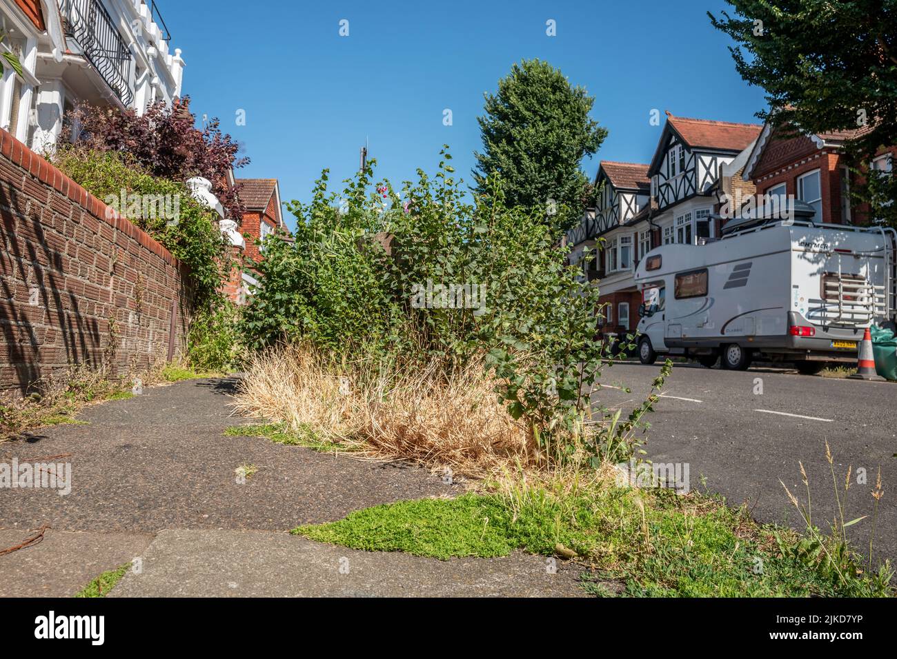 Hove, 20th 2022 luglio: Le erbacce che crescono per le strade di Hove Foto Stock