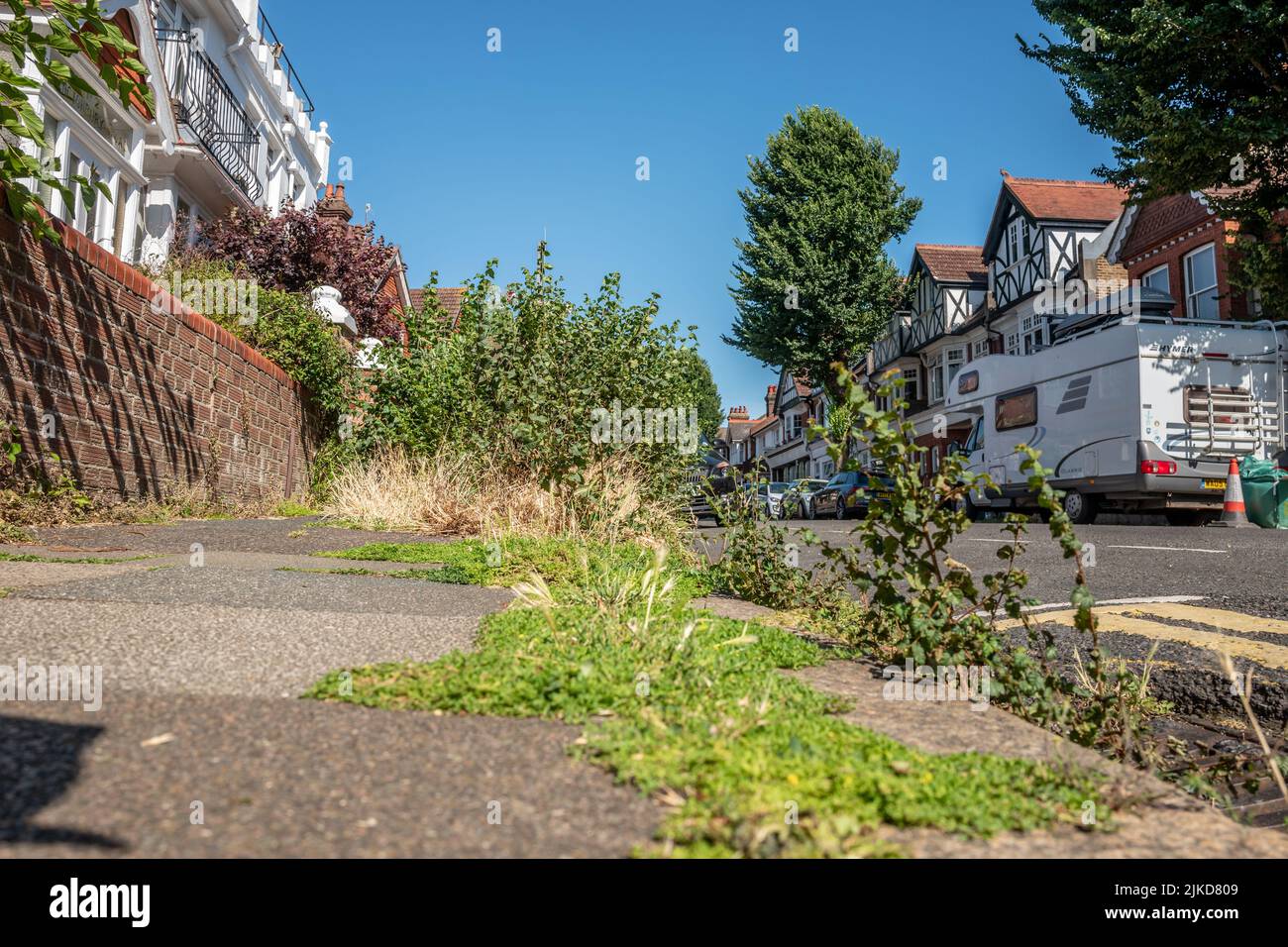 Hove, 20th 2022 luglio: Le erbacce che crescono per le strade di Hove Foto Stock