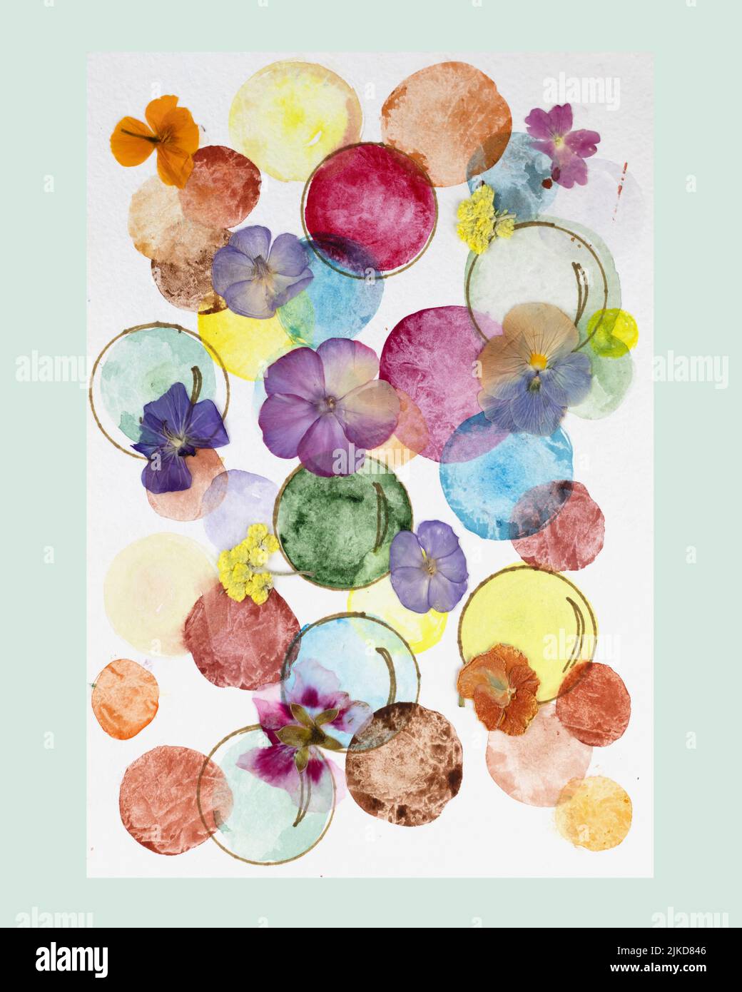 Moderna botanica fiori pressati arte floreale pressato Oshibana in stile boho. Palle multicolore disegnate ad acquerello e piante essiccate su un bac bianco Foto Stock