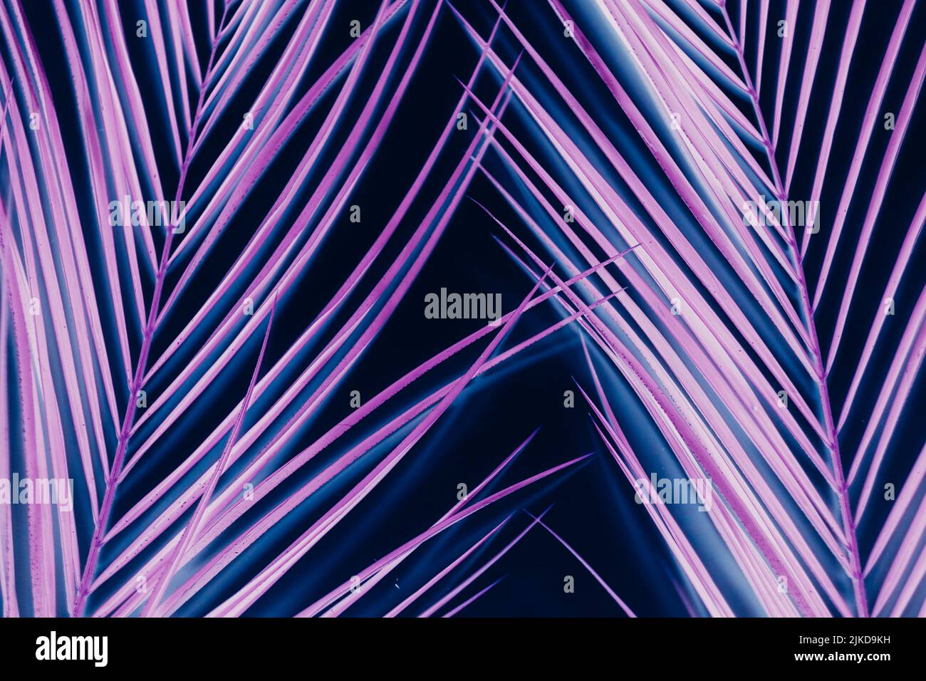 la palma al neon con motivi tropicali lascia l'arte surreale Foto Stock