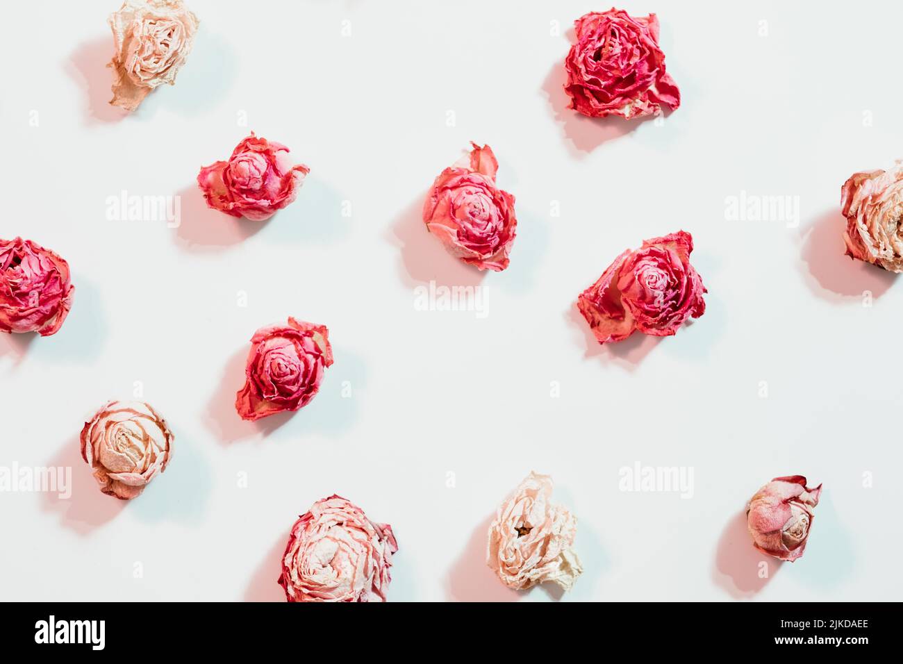 fiori arrangiamento secco rosa assortimento sfondo Foto Stock