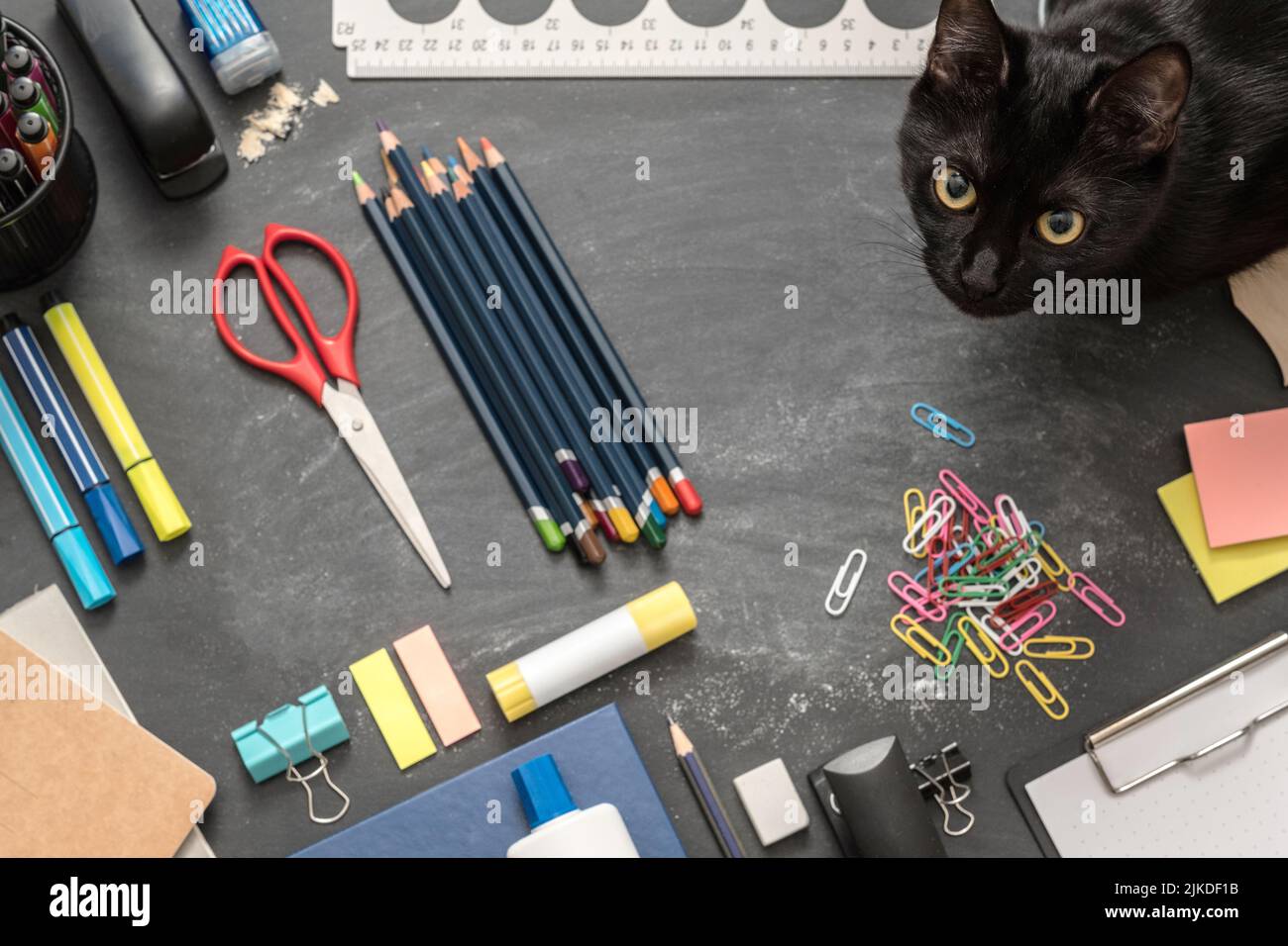 ambiente di studio creativo scuola essenziale cat Foto Stock