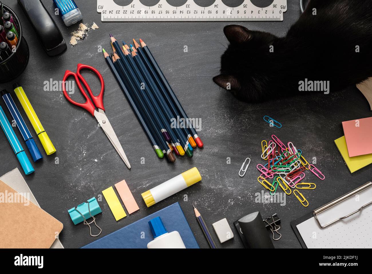 gli essenziali della scuola del posto di lavoro domestico dello studente cat Foto Stock