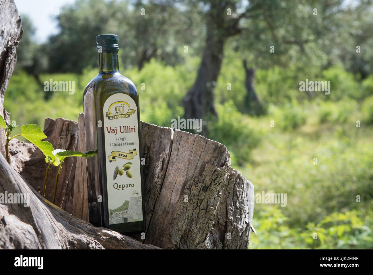 Bottiglia di olio d'oliva della famiglia Gjikondi, produttore di olio d'oliva a Qeparo, Costa ionica, Albania, Europa sudorientale. Foto Stock