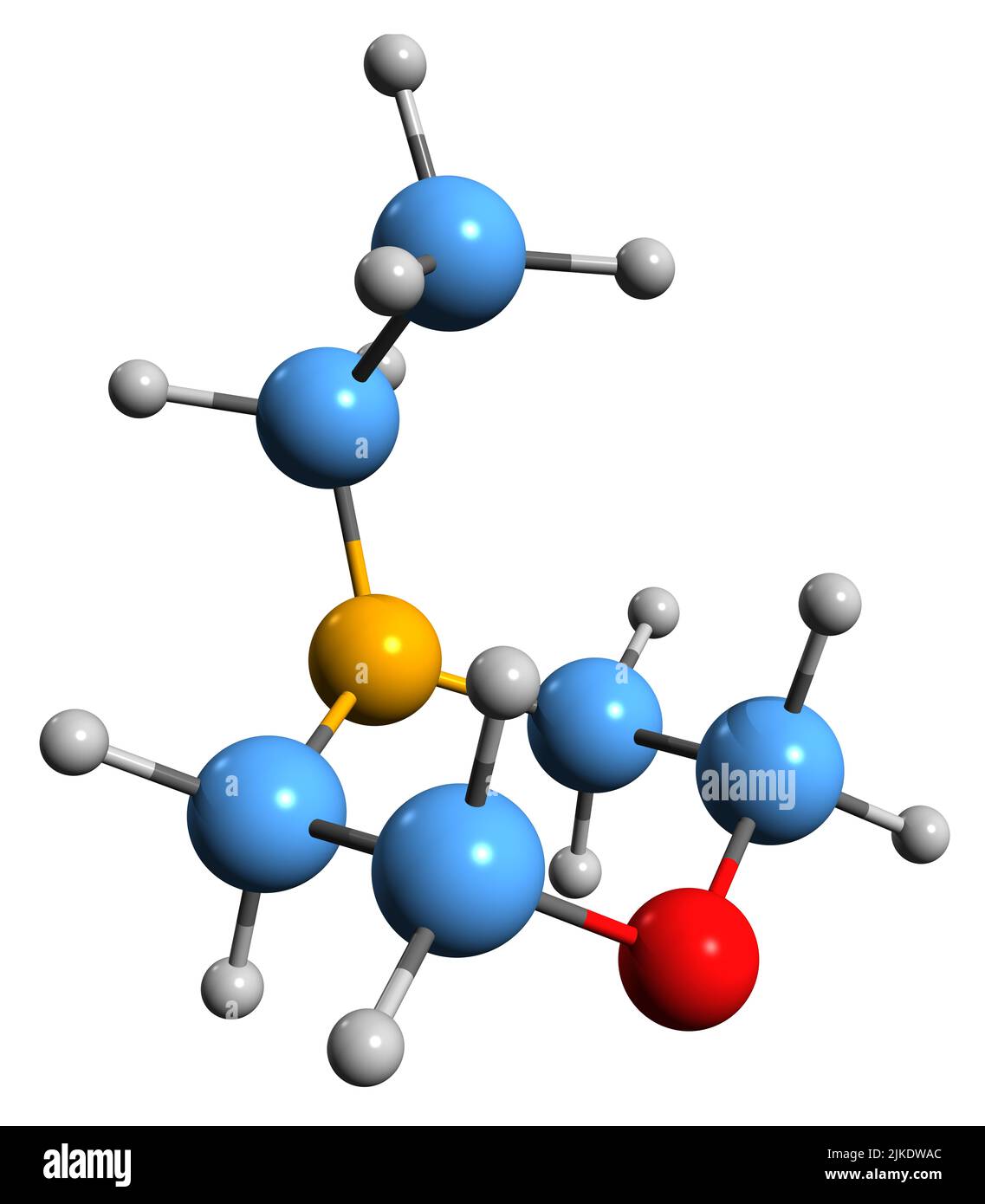 3D immagine della formula scheletrica di N-etilmorfolina - struttura chimica molecolare del composto isolato su sfondo bianco Foto Stock