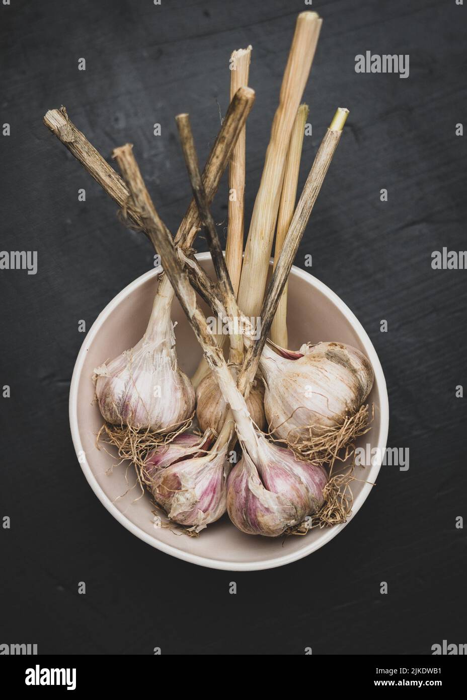 Bulbi d'aglio con gambi Foto Stock