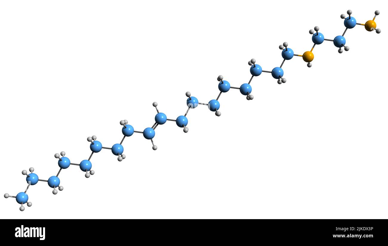3D immagine di N-oleil-1 3-propandiammina formula scheletrica - struttura chimica molecolare di catalizzatore isolato su sfondo bianco Foto Stock