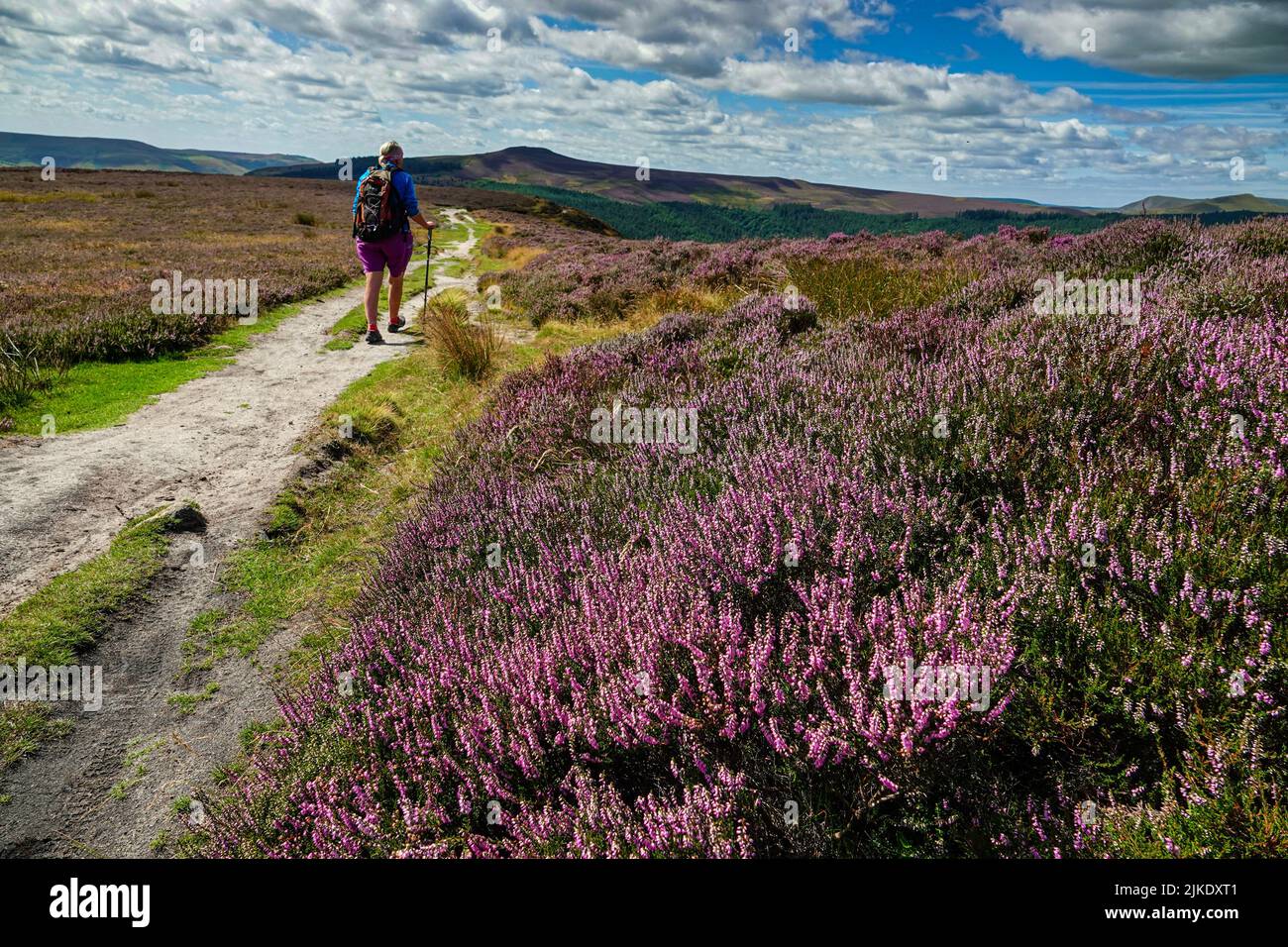Lone femmina escursionista sopra Ladybower Reservoir visto dall'alto, da Derwent Edge, Peak District National Park, Derbyshire, Regno Unito Foto Stock