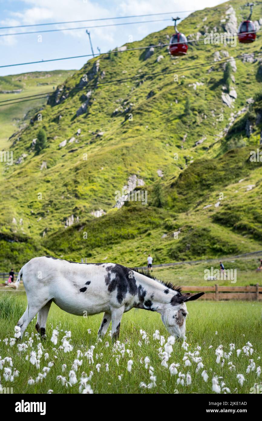 Escursioni Kitzsteinhorn Foto Stock