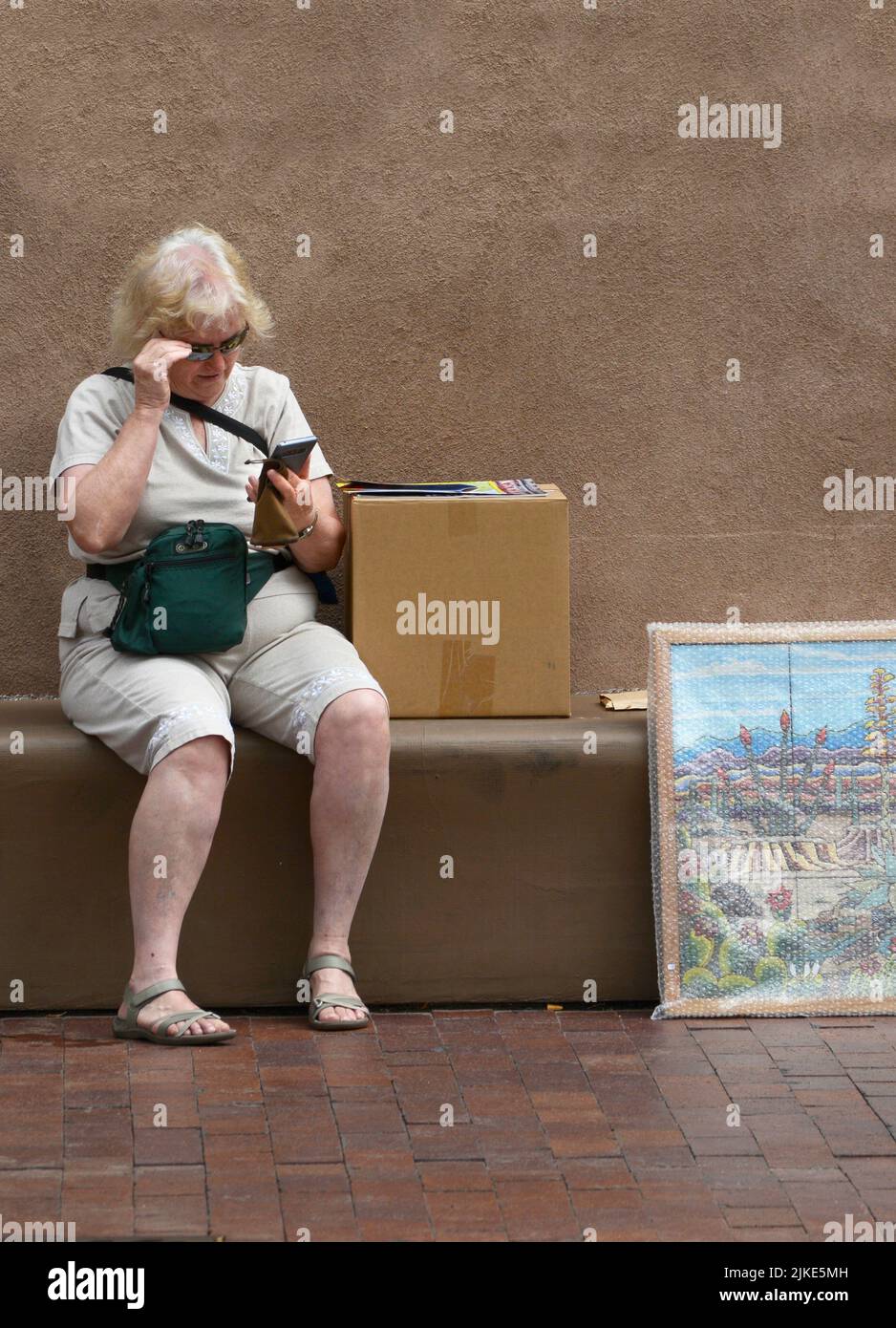 Una donna si siede per usare il suo smartphone dopo aver fatto acquisti in un festival all'aperto di arte ini Santa Fe, New Mexico. Foto Stock