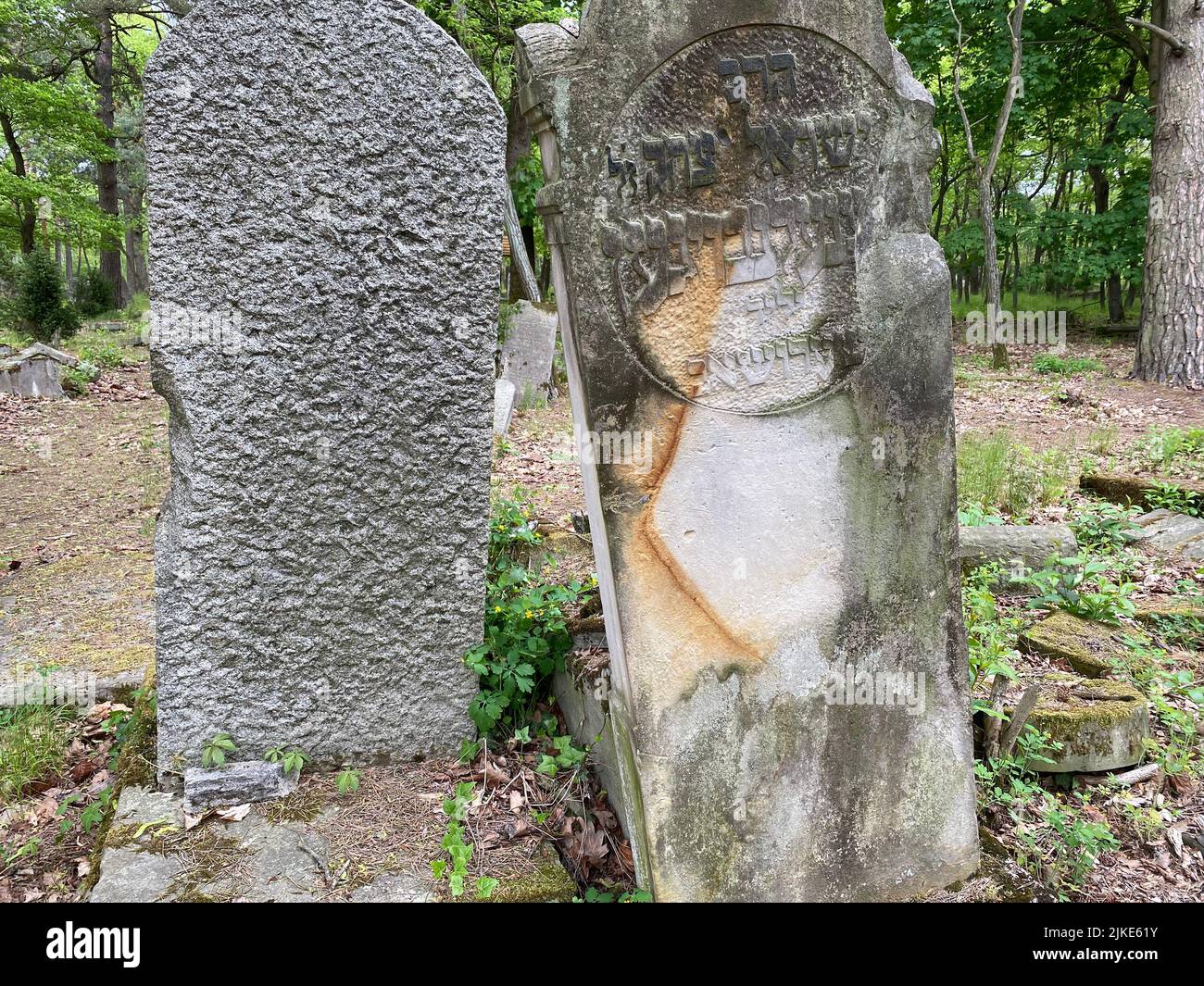 Rovine del vecchio cimitero ebraico a Otwock Polonia cmentarz żydowski w testacadini Otwock cimitero ebraico tomba ebraica beit kvarot lapide ebraica Foto Stock
