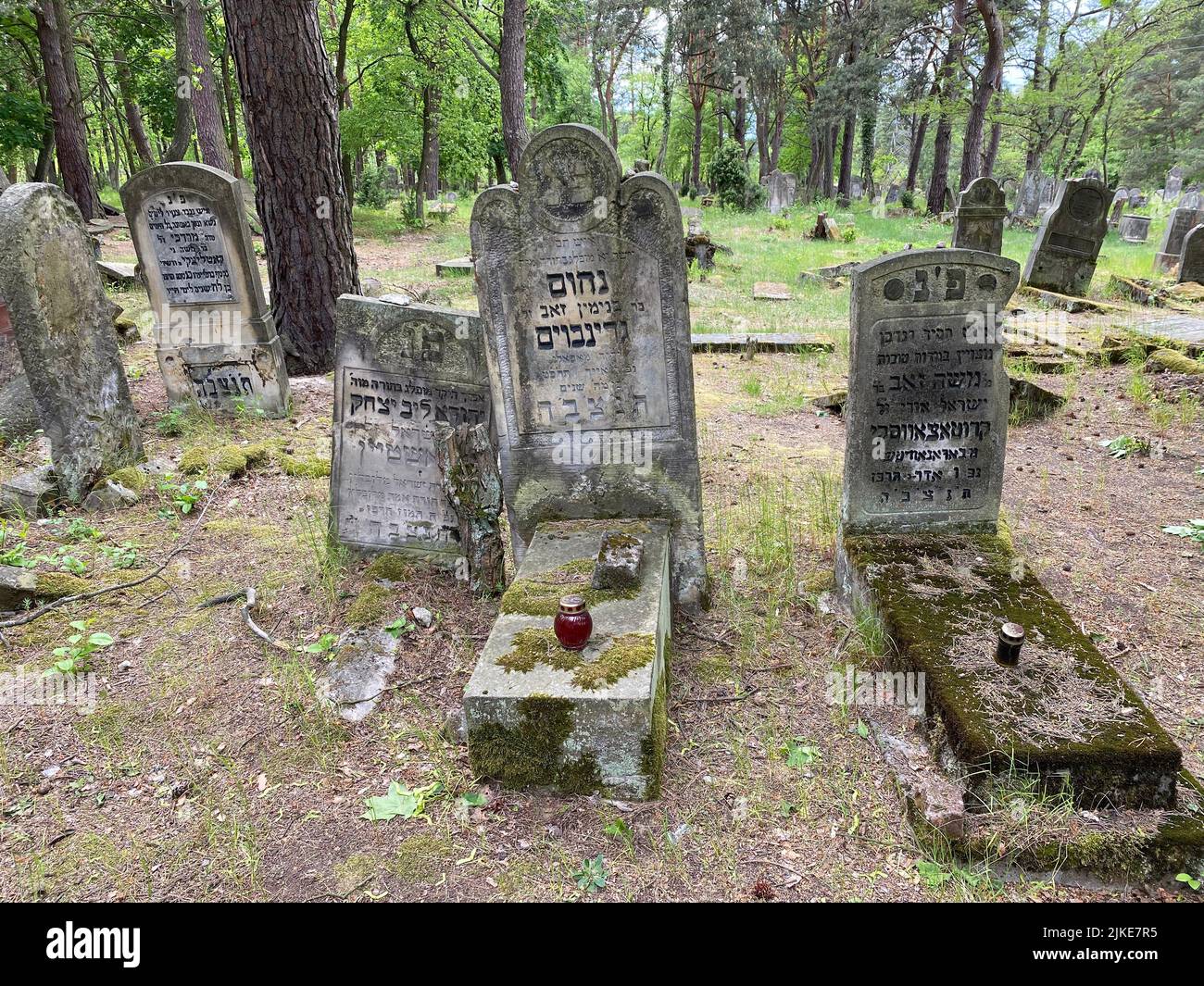 Rovine del vecchio cimitero ebraico a Otwock Polonia cmentarz żydowski w testacadini Otwock cimitero ebraico tomba ebraica beit kvarot lapide ebraica Foto Stock