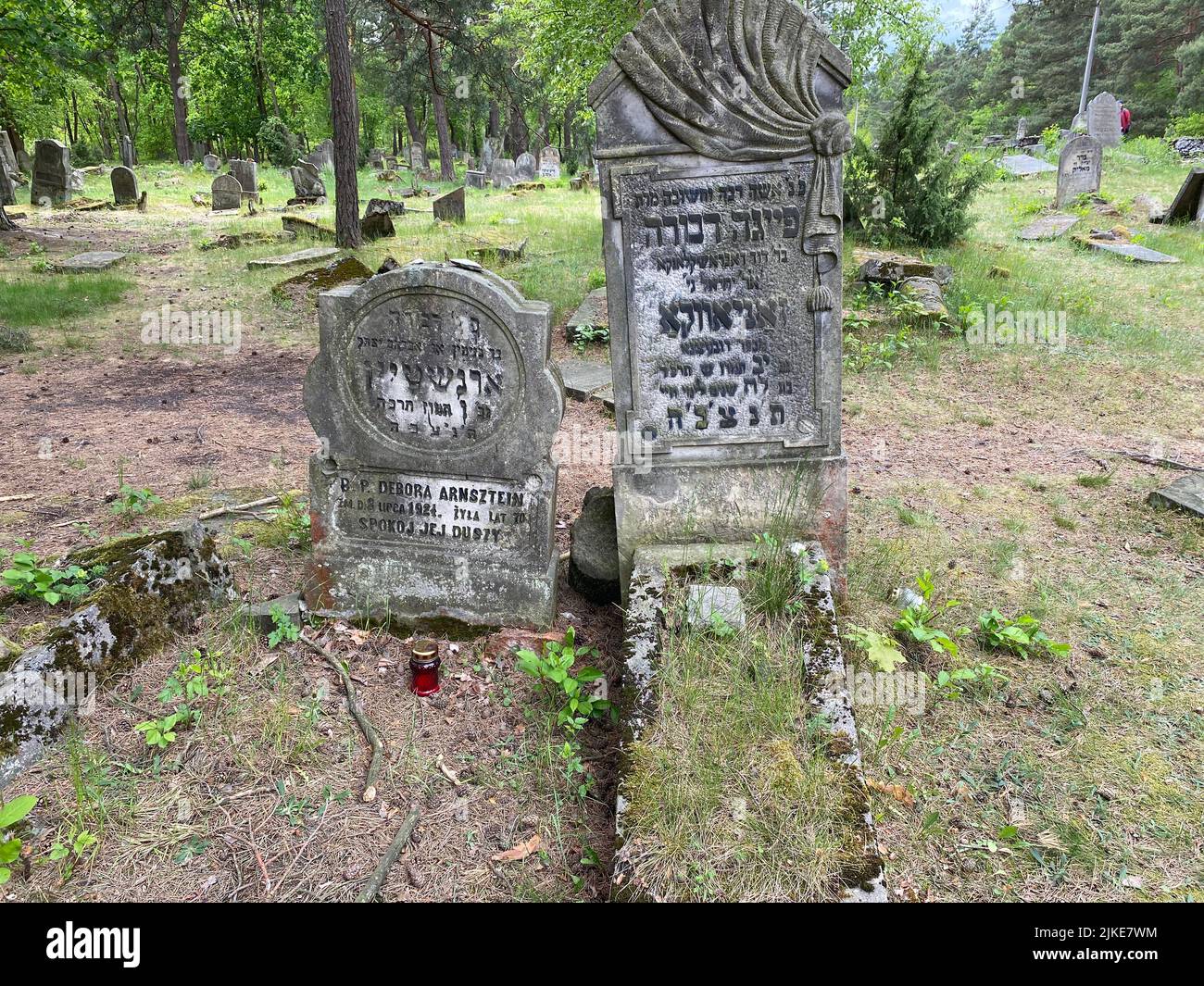 Rovine del vecchio cimitero ebraico a Otwock Polonia cmentarz żydowski w testacadini Otwock cimitero ebraico tomba ebraica beit kvarot lapide ebraica Foto Stock