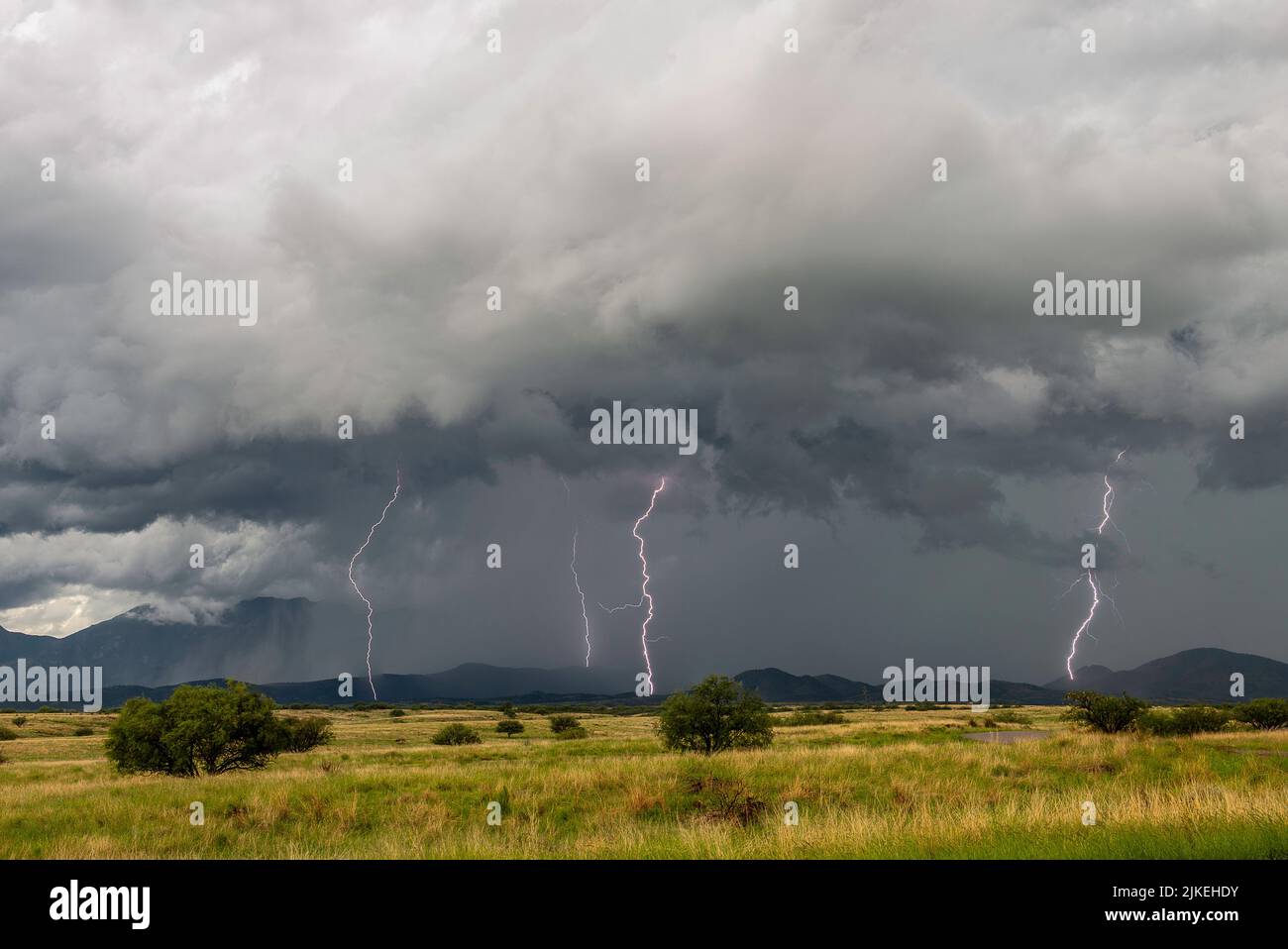 Le tempeste monsoniche nell'Arizona meridionale rendono il paesaggio spettacolare Foto Stock