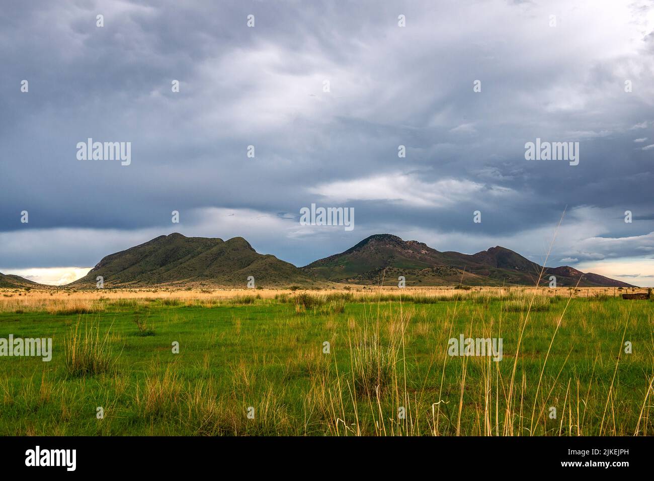 Le tempeste monsoniche nell'Arizona meridionale rendono il paesaggio spettacolare Foto Stock