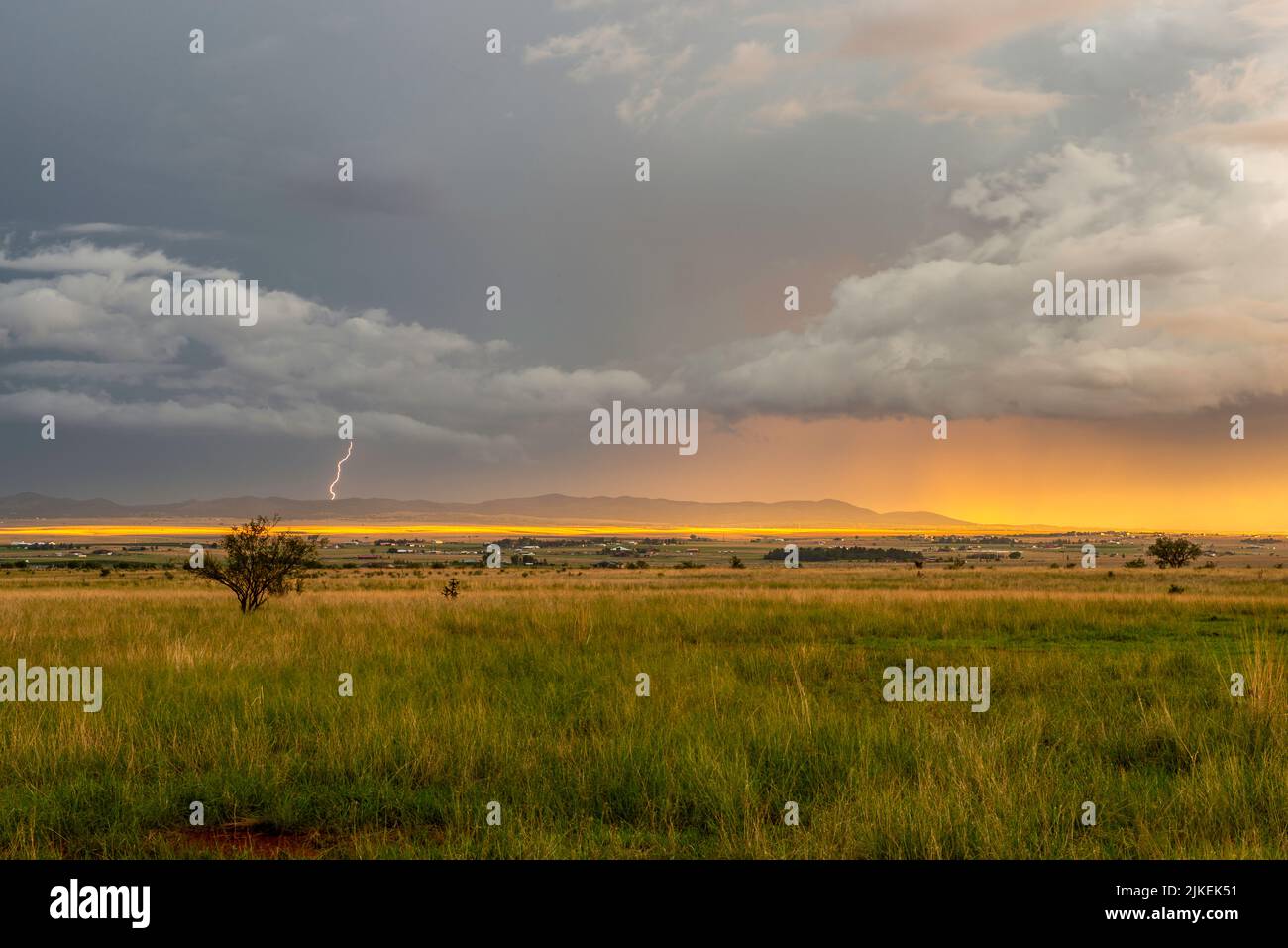 Le tempeste monsoniche nell'Arizona meridionale rendono il paesaggio spettacolare Foto Stock