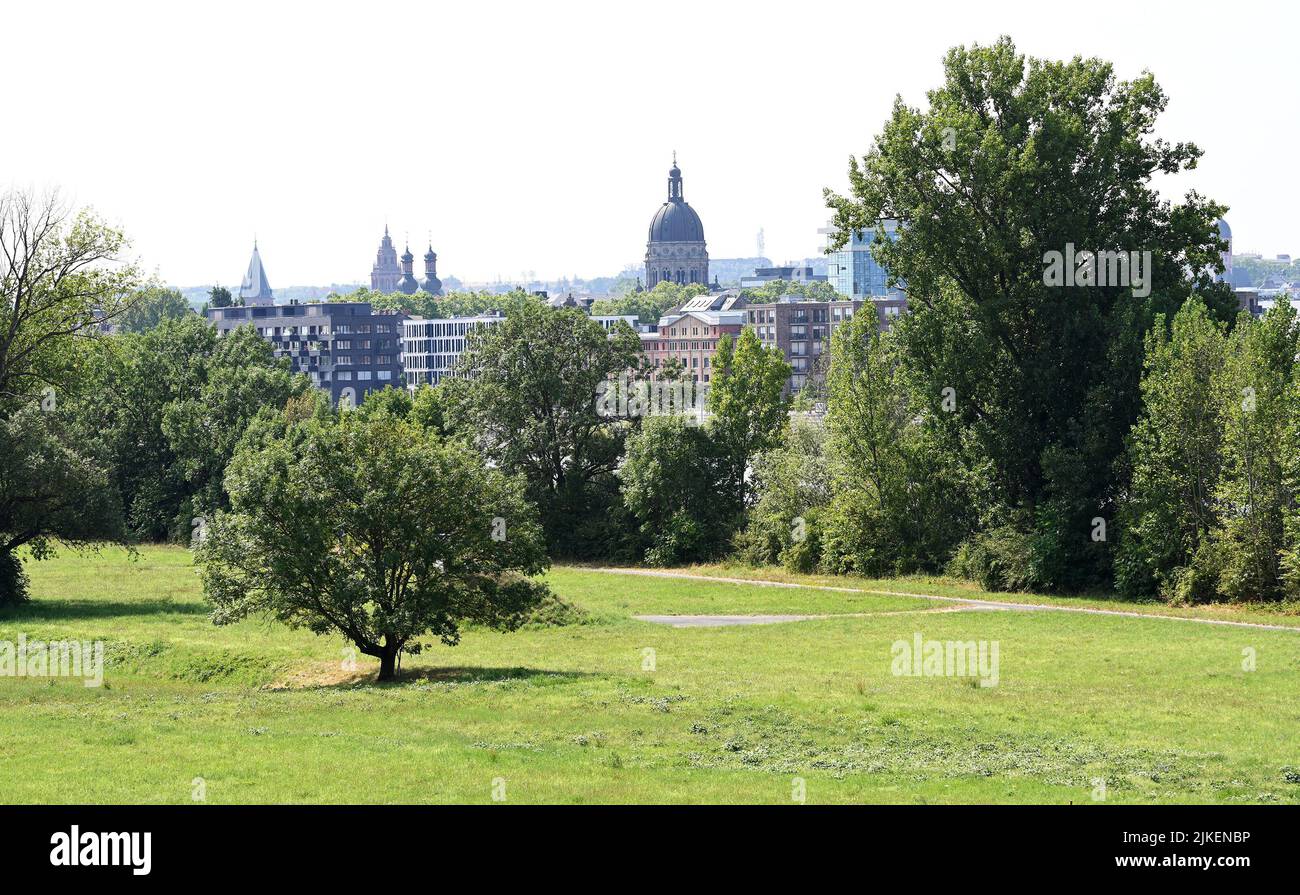 Wiesbaden, Germania. 28th luglio 2022. Il Petersaue si trova su una lunghezza di tre chilometri tra le rive sinistra e destra del Reno. La vista dal ponte ferroviario raggiunge la Chiesa di Cristo di Mainz (a dpa: 'Petersaue si prende cura di acqua potabile e acque reflue') Credit: Peter Zschunke/dpa/Alamy Live News Foto Stock