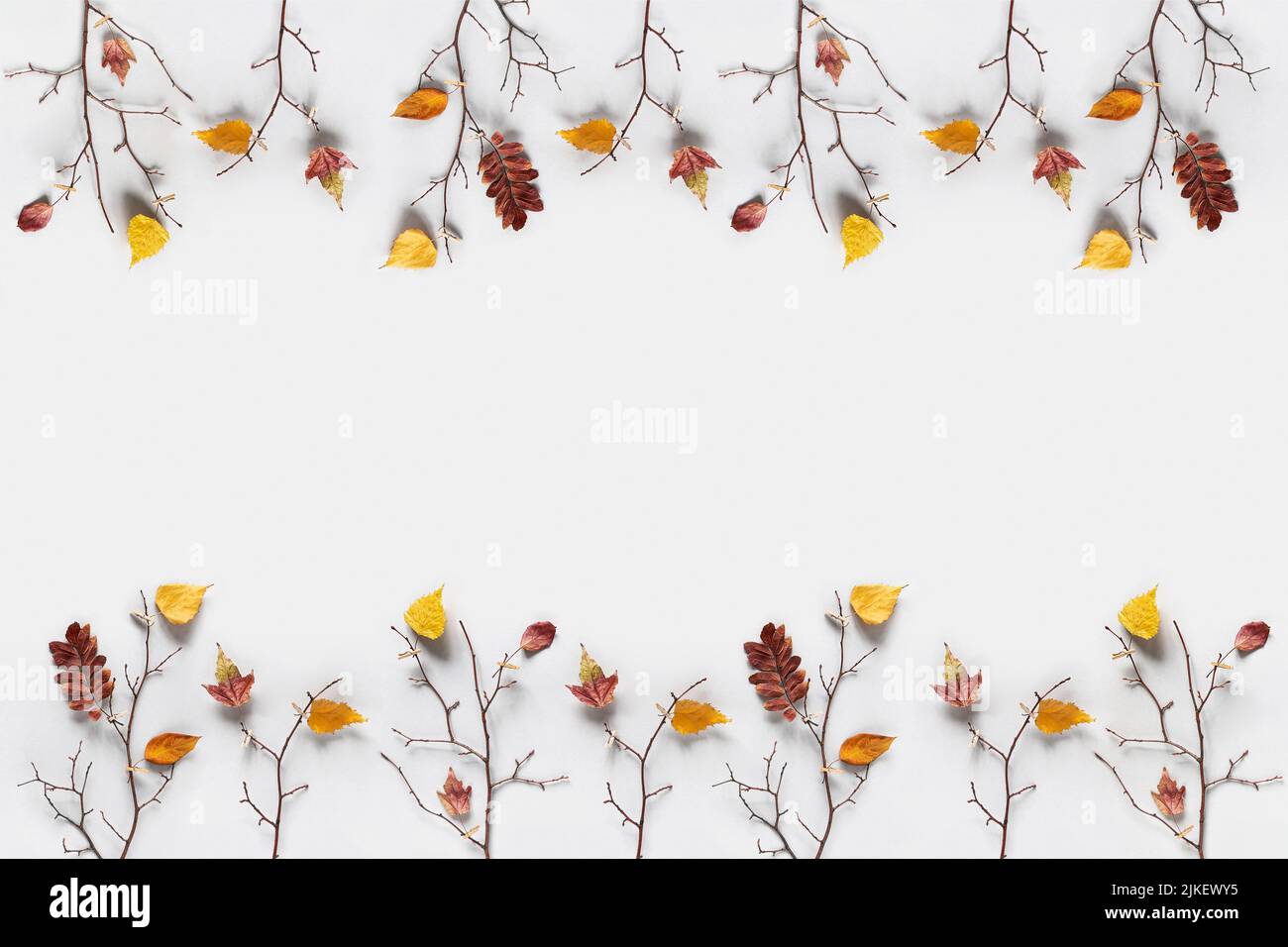 Cornice autunnale creativa. Rami di alberi con foglie colorate autunnali su clothespins su sfondo grigio con spazio copia. Vista dall'alto, disposizione piatta. Foto Stock