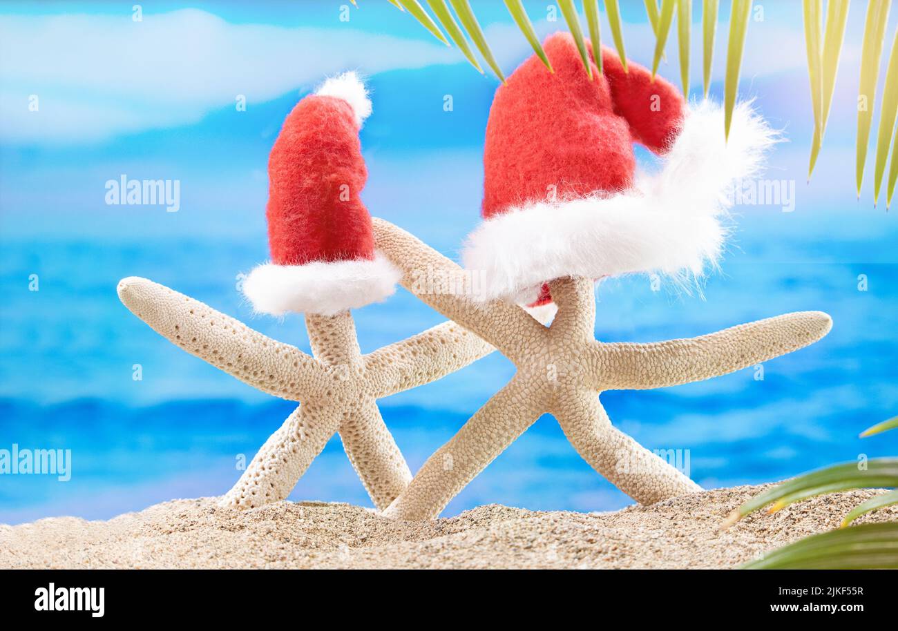 Due stelle marine bianche con cappello rosso di Babbo Natale sulla spiaggia di sabbia dietro il mare e le palme. Concetto di Natale, Capodanno nei paesi caldi Foto Stock