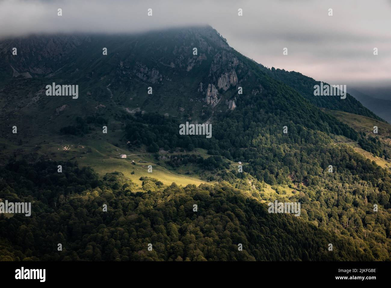 Una casetta circondata dalla foresta delle Alpi Foto Stock