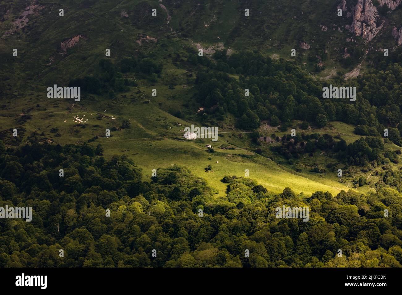 Una casetta circondata dalla foresta delle Alpi Foto Stock