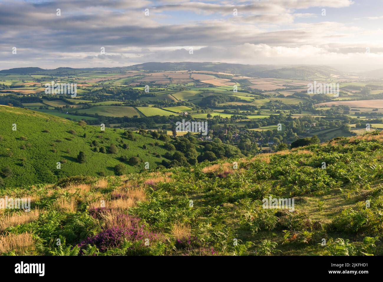 Una vista di fine estate dalla collina di Weacombe nelle colline di Quantock sopra il villaggio di Bickler e le colline di Brendon oltre, Somerset, Inghilterra. Foto Stock