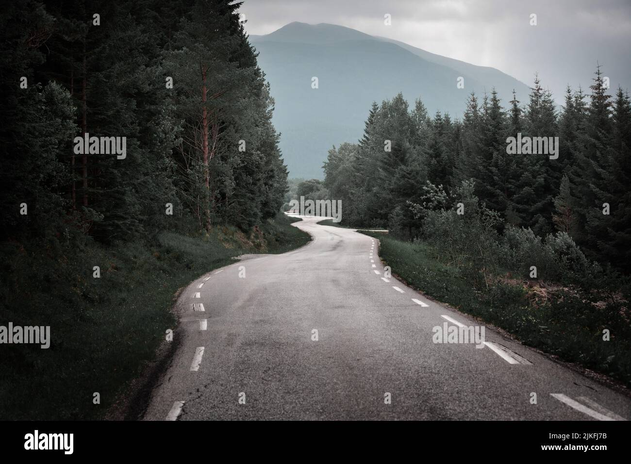 Pittoresca strada tortuosa di campagna che attraversa la foresta selvaggia della Norvegia Foto Stock