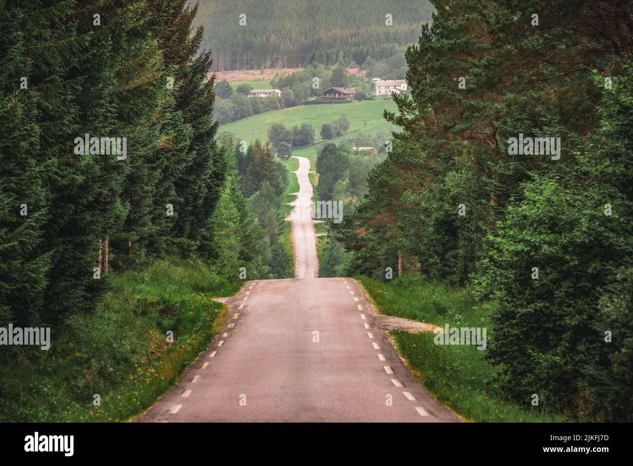 Strada panoramica di campagna che attraversa la foresta selvaggia in Norvegia Foto Stock