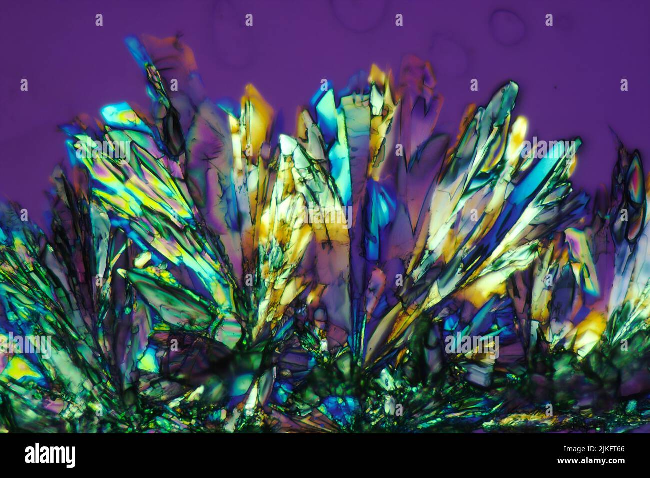 Le fotomicrografie del farmaco AZT sono state prese a 30x e 50x ingrandimenti. Per illuminare i cristalli, sono state usate tecniche di illuminazione polarizzate e a campo scuro. Si ritiene che AZT contribuisca a prevenire la replicazione dell'HIV, il virus dell'AIDS, noto anche come HTLV-III Foto Stock