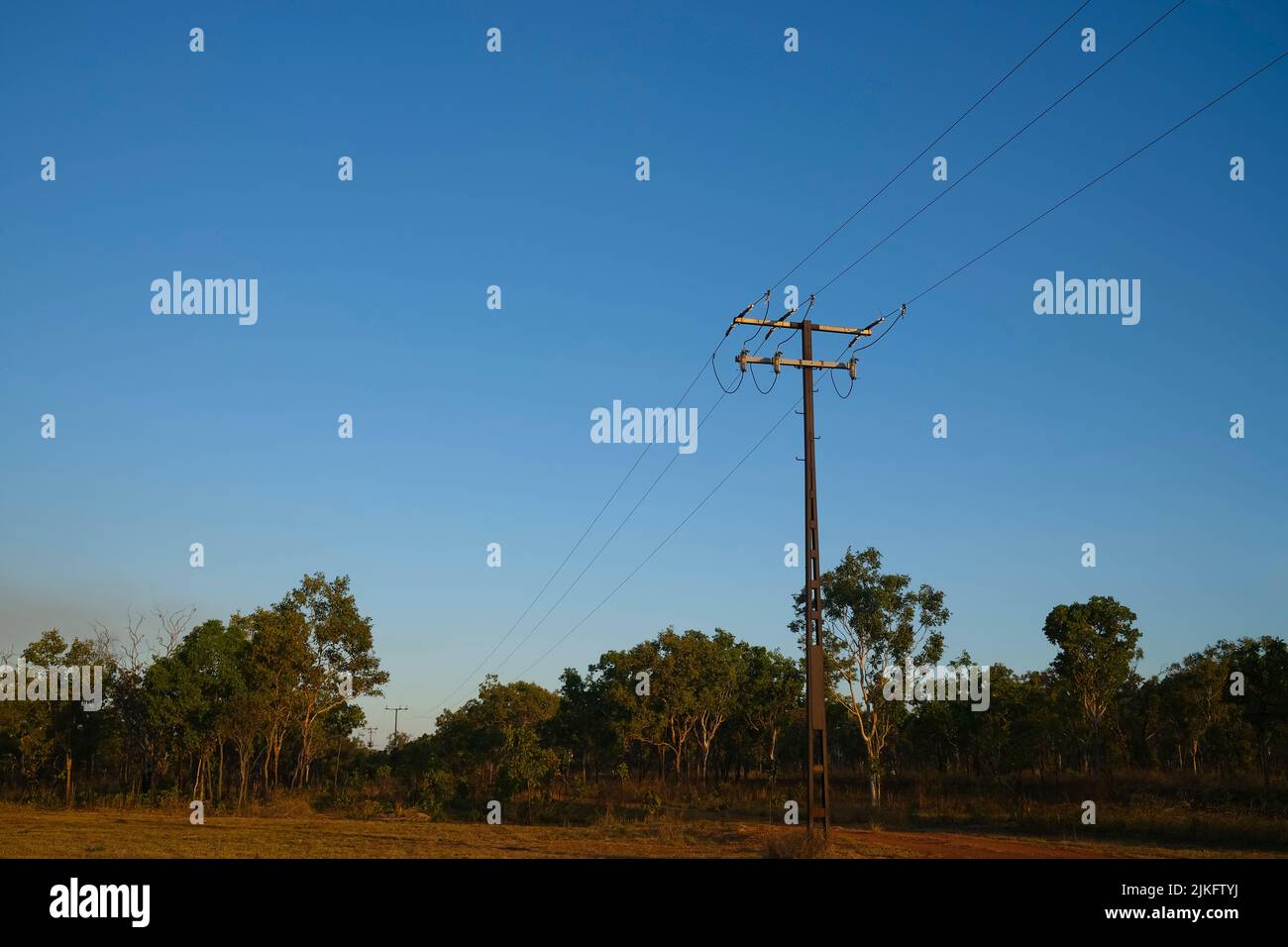 Linee elettriche nel bush australiano nel territorio settentrionale dell'Australia Foto Stock